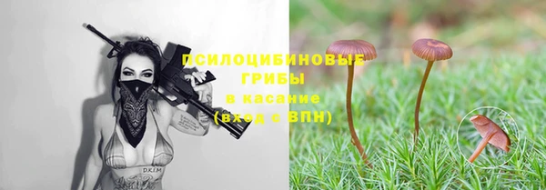 MDMA Premium VHQ Пролетарск