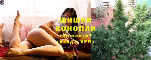 молекула духа Протвино