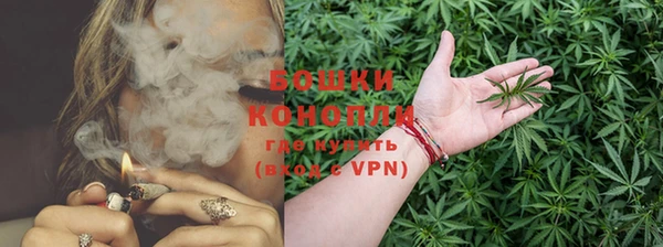 молекула духа Протвино