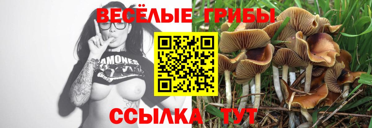 Галлюциногенные грибы GOLDEN TEACHER Борисоглебск