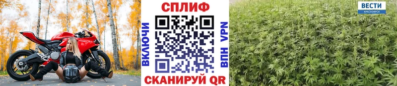 Каннабис конопля Борисоглебск